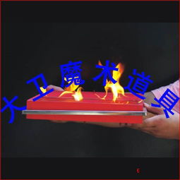 双门子爆鸽板230元