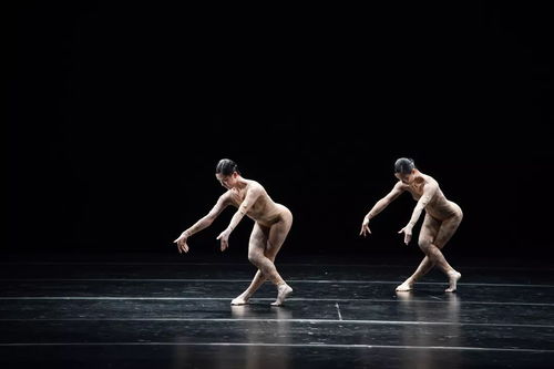 前方一大波美美的演出剧照来袭，送给喜欢舞蹈的你们